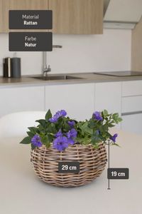 Pflanzkorb Dekokorb Rattan PALLA Grau Natur 