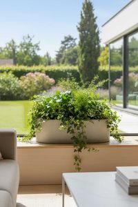 Pflanzschale Dekoschale SOLENA Fiberglas Betongrau