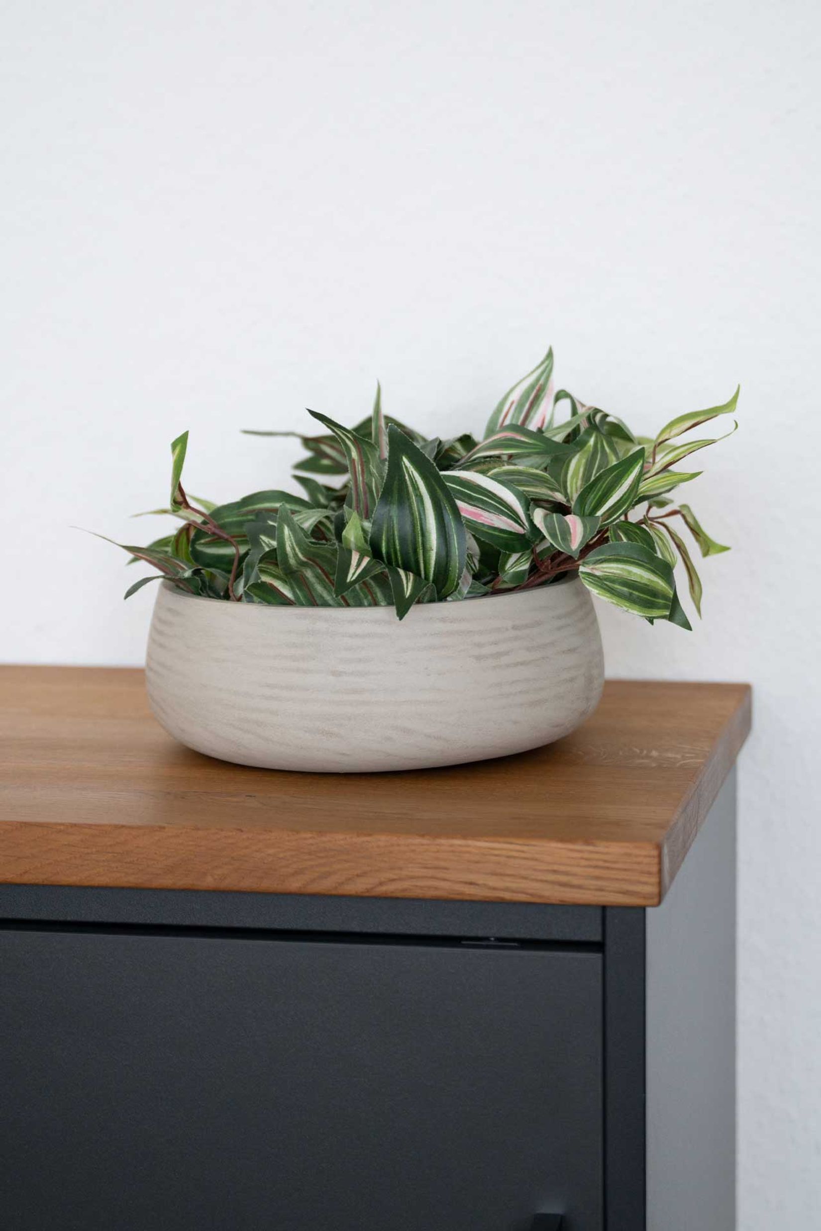 Pflanzschale Dekoschale PERA rund Fiberglas Creme Pflanzschale Dekoschale PERA rund Fiberglas Creme