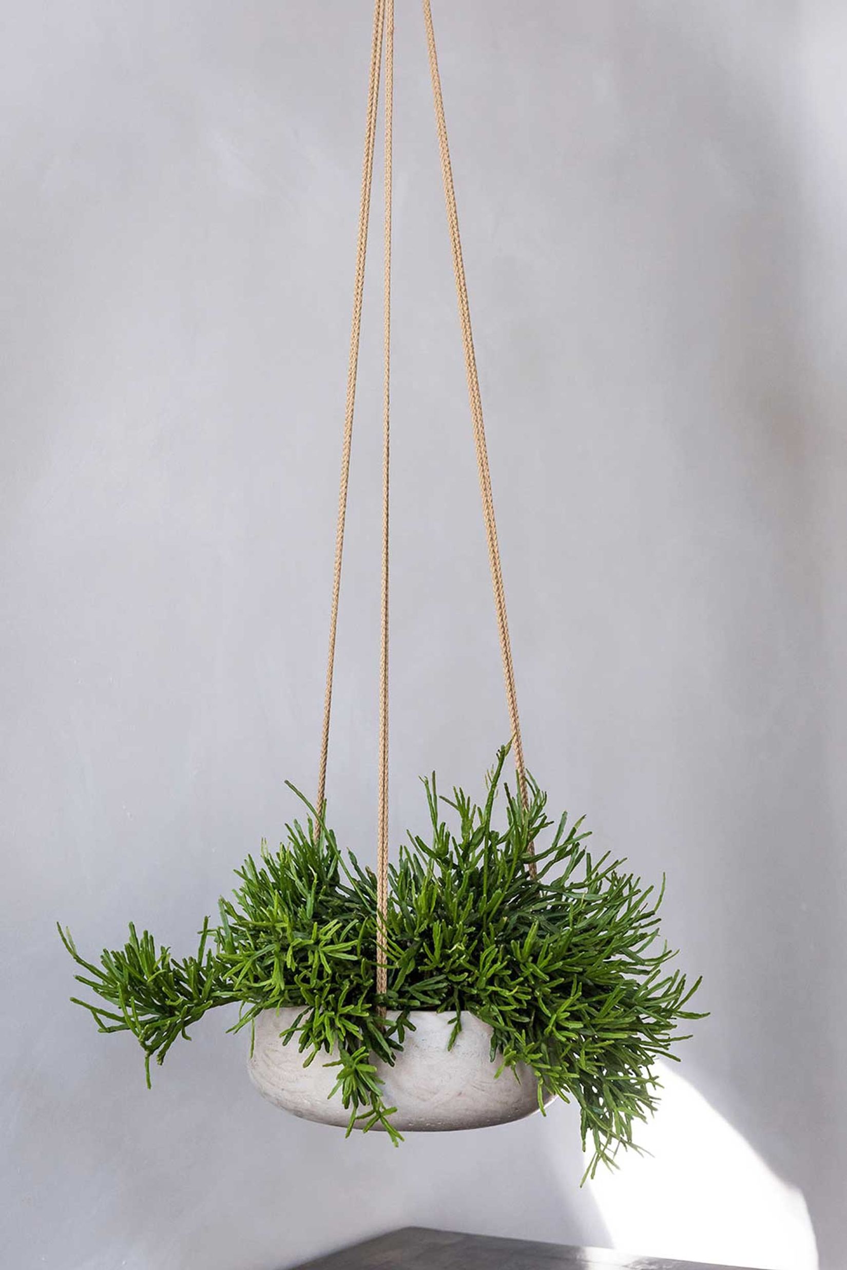 Pflanzschale Dekoschale PERA rund Fiberglas Creme Pflanzschale Dekoschale PERA rund Fiberglas Creme