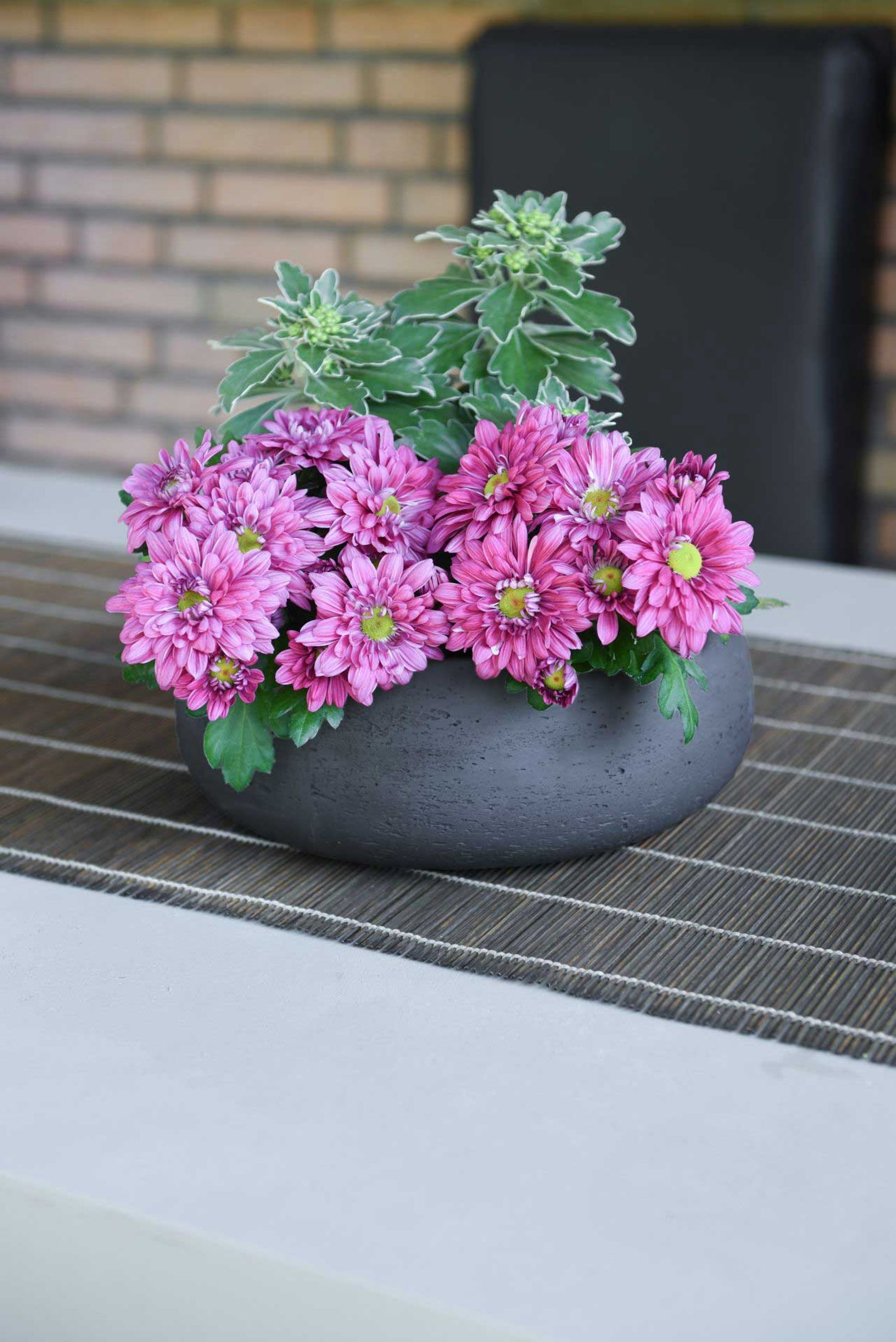 Pflanzschale Dekoschale PERA Fiberglas Grau