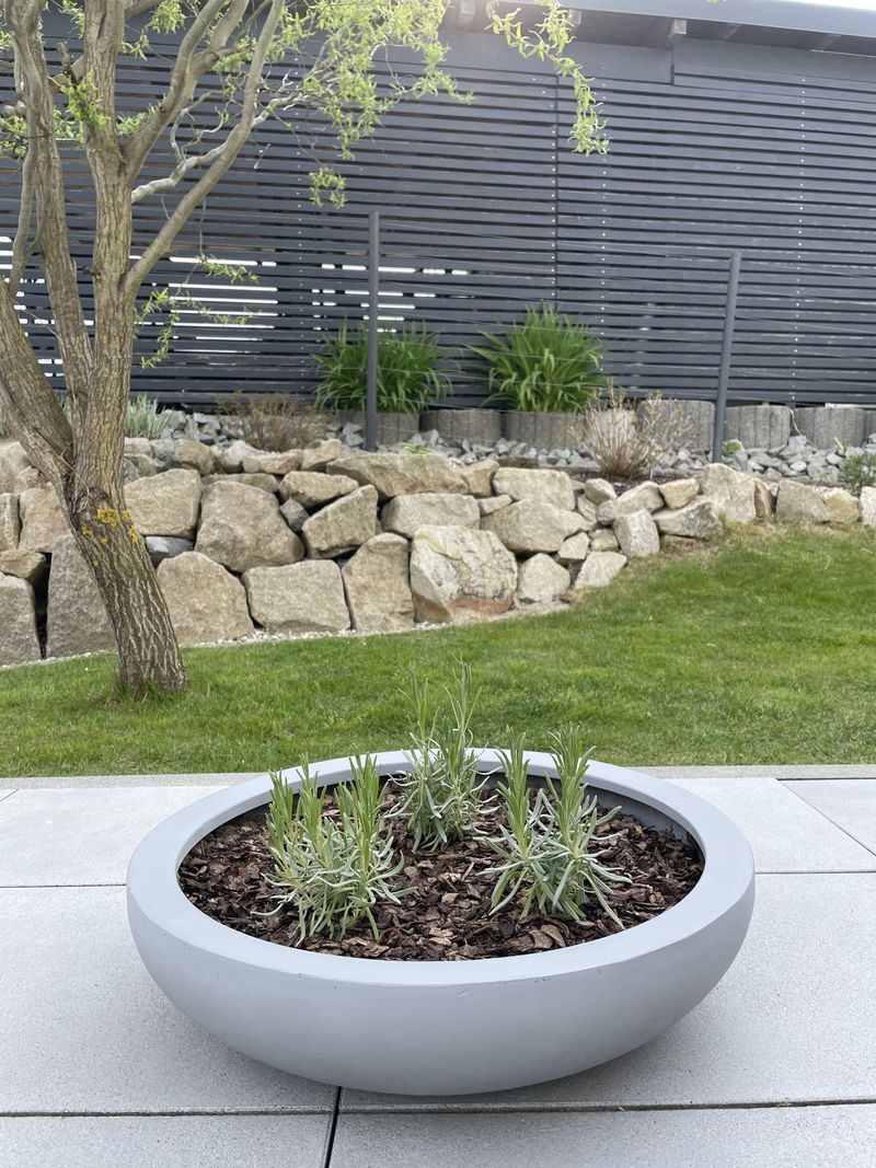 Pflanzschale Blumenschale Fiberglas PLANA beton-design grau | 54x14 cm | 103101215414