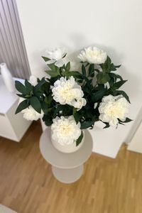 Kunstpflanze Pfingstrose Paeonia im cremefarbenen Dekotopf PEONY creme