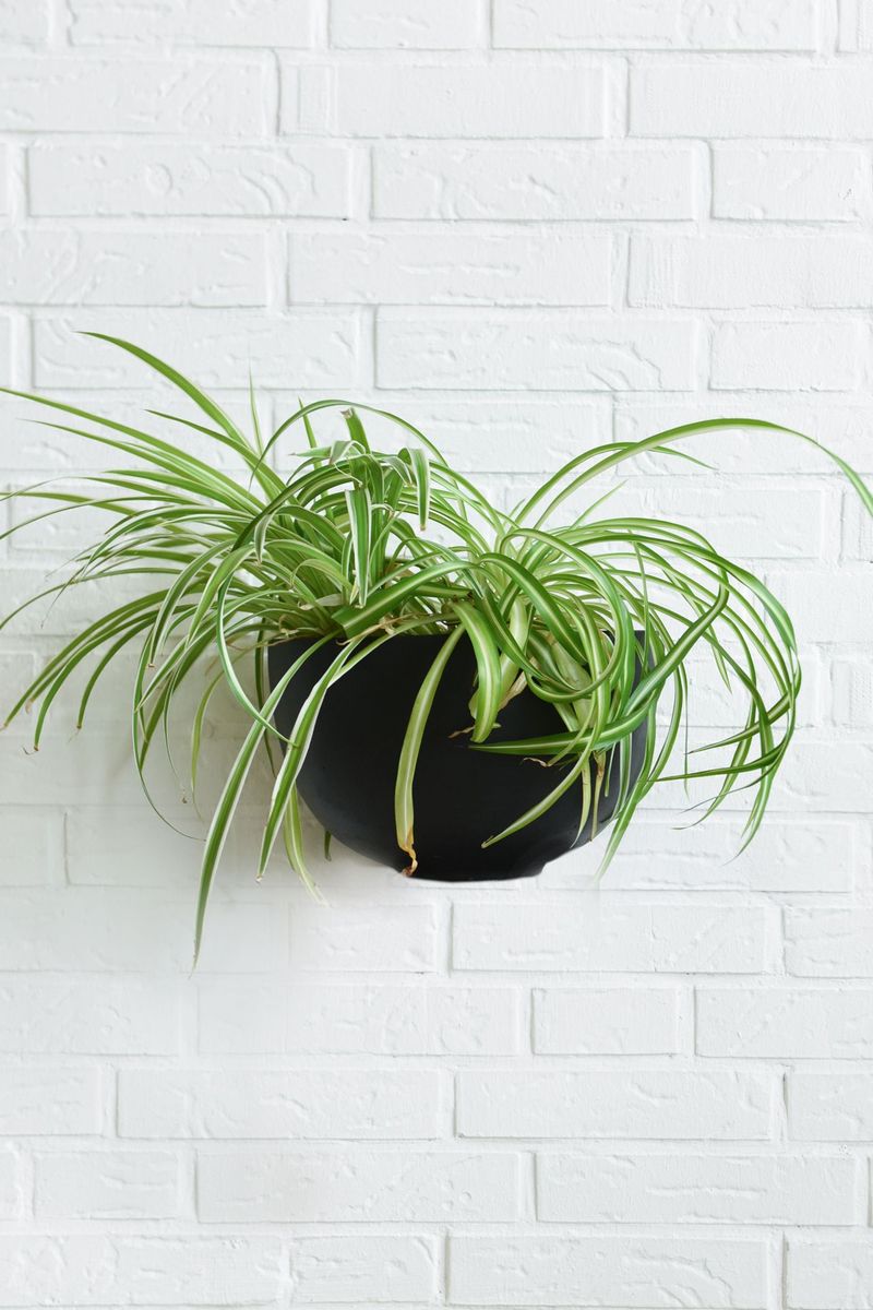 Wandtopf MEDIO Fiberglas 29x22x18 cm Schwarz | 103218103292