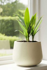 Blumentopf Pflanztopf Fiberglas GIRAR Vesuvcreme