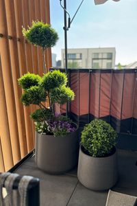 Blumentopf Pflanztopf Fiberglas TROPICO Anthrazit