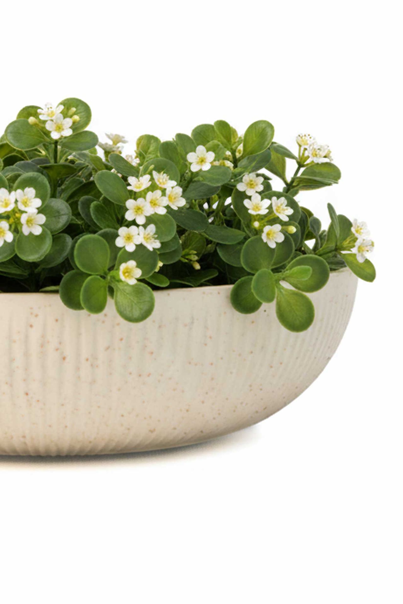 Pflanzschale Blumenschale Fiberglas PLANA Arbanerelief Pflanzschale Blumenschale Fiberglas PLANA Arbanerelief