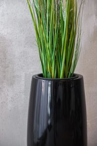 Pflanzkübel MAGNUM Fiberglas Schwarz Hochglanz 23x80 mit Kunstpflanze CADO