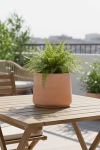 Blumentopf Fiberglas TROPICO Vulkanapricot Blumentopf Fiberglas TROPICO Vulkanapricot