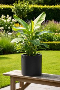 Blumentopf NEW RONDO Fiberglas 29x29 cm Schwarz