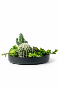 Pflanzschale Dekoschale Fiberglas ORYVEN Anthrazit