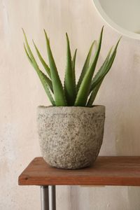Kunstpflanze Kunststoff Agave im schwarzen Kunststofftopf ASPARA