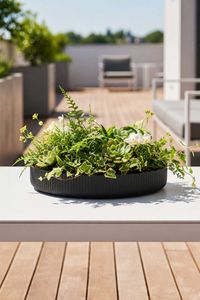 Pflanzschale Dekoschale Fiberglas ORYVEN Skandianthrazit