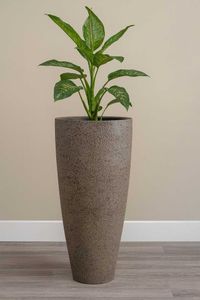 Pflanzkübel Blumenkübel Fiberglas CITY creme rough