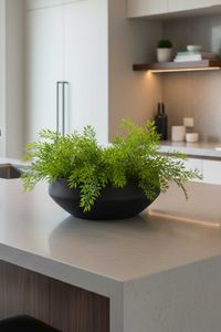 Pflanzschale Dekoschale Fiberglas SKRELLE Vulkangrau