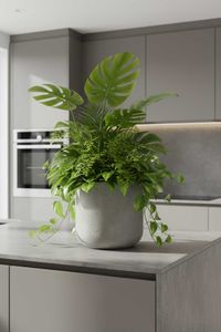 Blumentopf Pflanztopf Fiberglas CHICO Vesuvgrau
