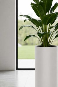 Pflanzgefäß Bodenvase SOLERIO Fiberglas Weiß Matt Pflanzgefäß Bodenvase SOLERIO Fiberglas Weiß Matt