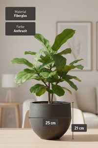 Pflanzkübel Blumentopf Fiberglas RAFIOT Anthrazit