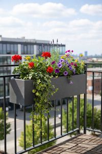 Balkonkasten Blumenkasten Fiberzement Milano "Benno", Grau