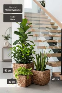 Pflanzkübel Blumenkübel Wasserhyazinthe "Wild", Natur