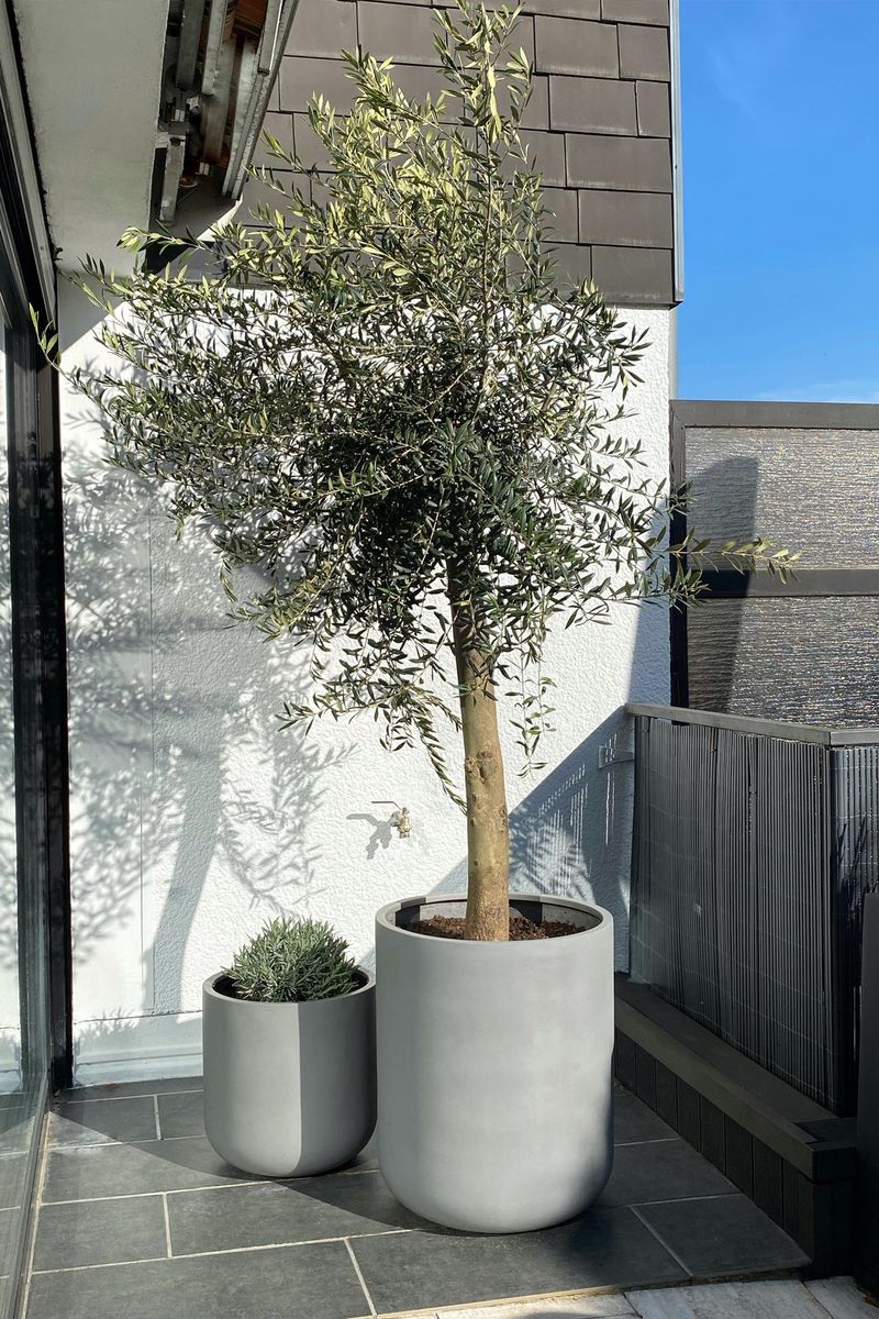 Blumenkübel Blumentopf Beton Optik Eckig Hoch Mit Einsatz 9 Größen In Anthrazit - Foto 13