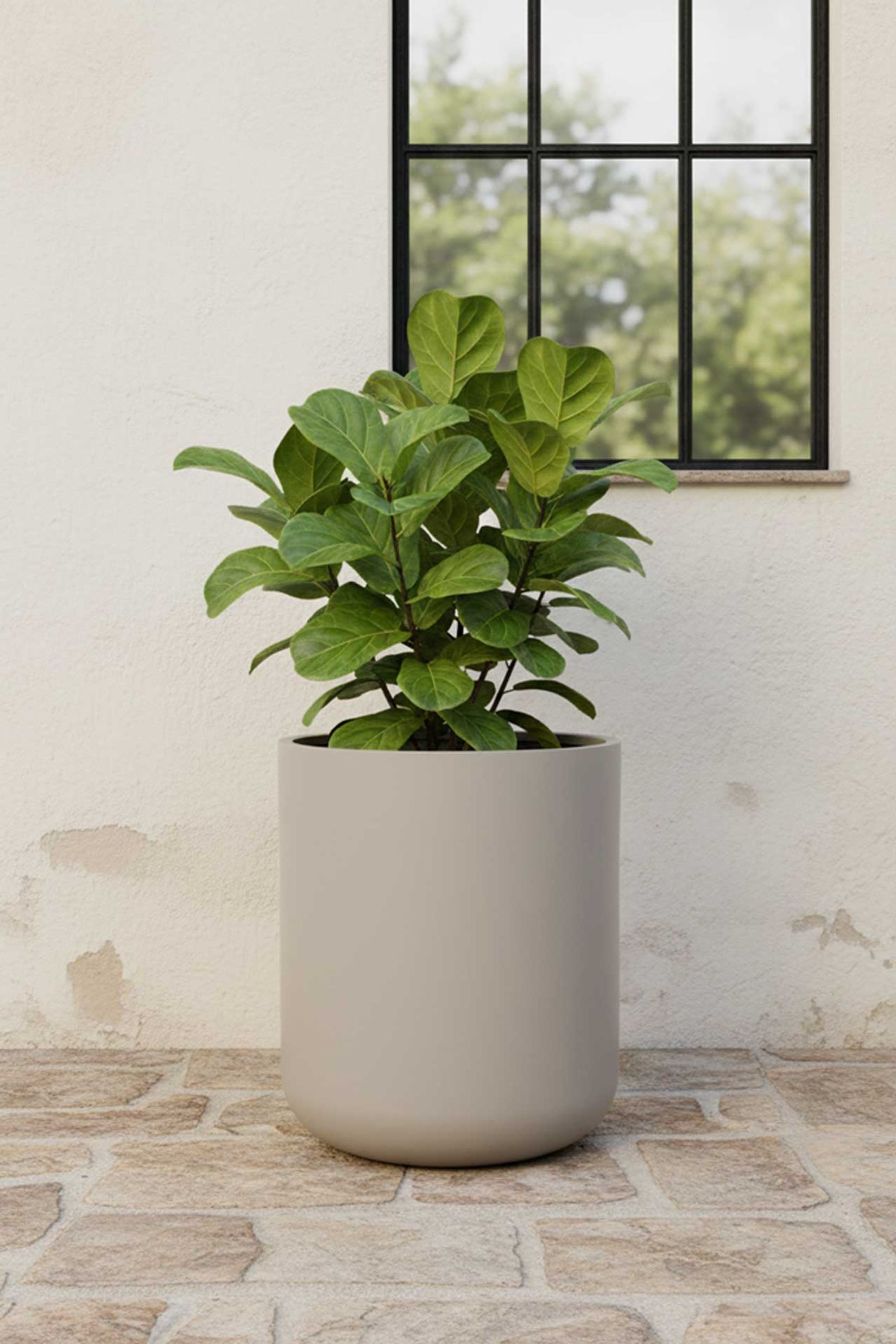 Blumentopf Pflanzkübel Fiberglas CHICO creme