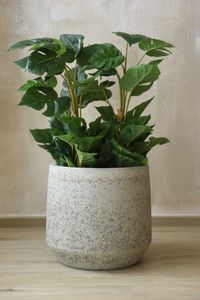 Pflanzkübel Blumentopf Fiberzement SASSO Erdgrau