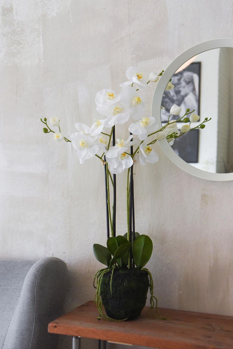 Kunstpflanze künstliche Orchidee im Erdballen Kunststoff ORCHIDELIS | 50x87 cm | 6049215575