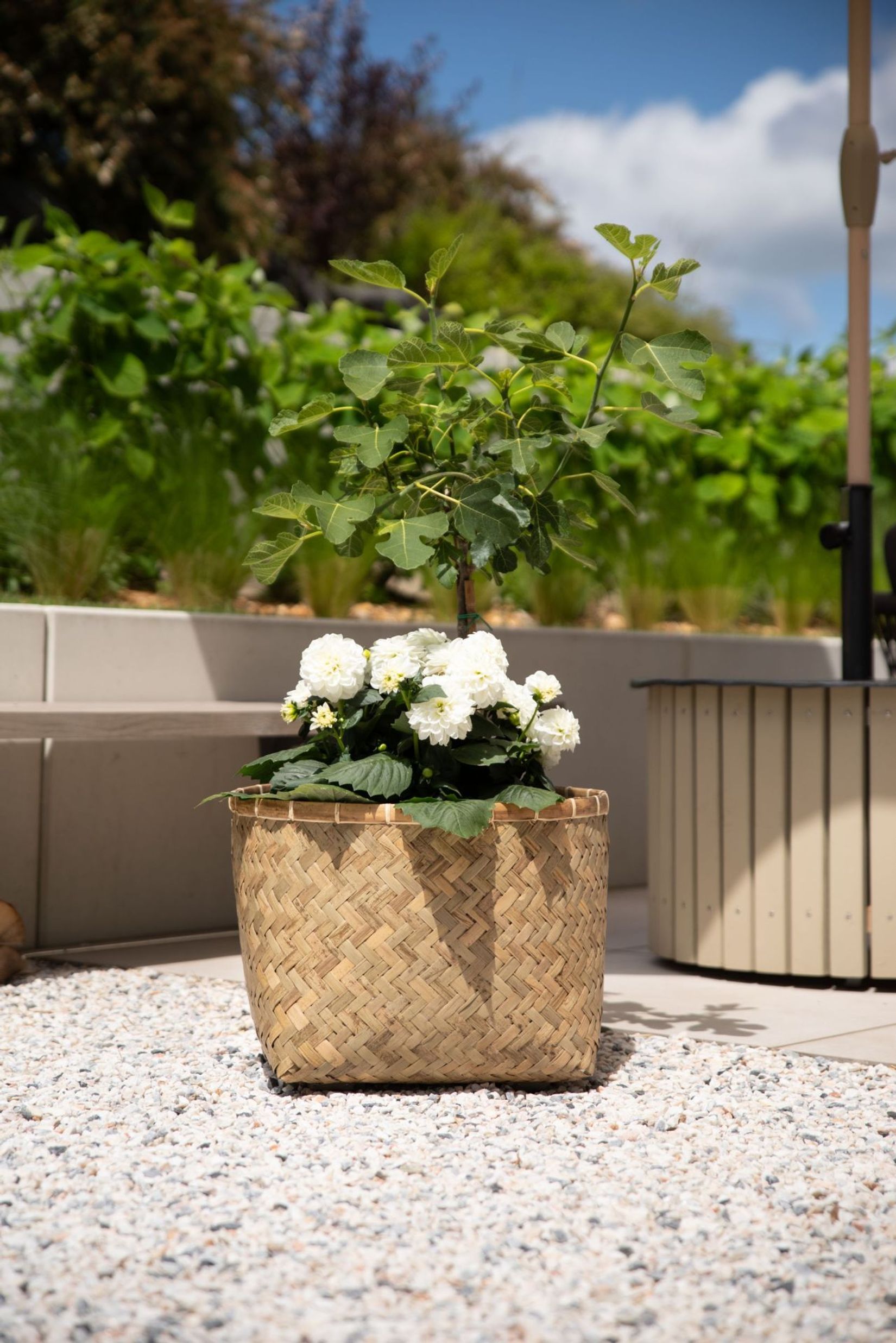 Pflanzkübel Pflanztopf Bambus Fiberzement CISTELLA Natur Pflanzkübel Pflanztopf Bambus Fiberzement CISTELLA Natur