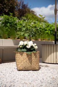 Pflanzkübel Pflanztopf Bambus Fiberzement CISTELLA Natur Pflanzkübel Pflanztopf Bambus Fiberzement CISTELLA Natur