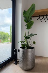 Blumentopf Pflanzkübel Fiberglas Silber Schwarz APERO