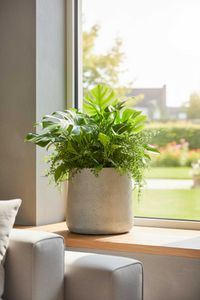 Blumentopf Pflanzkübel Fiberglas VEKRA Vesuvgrau