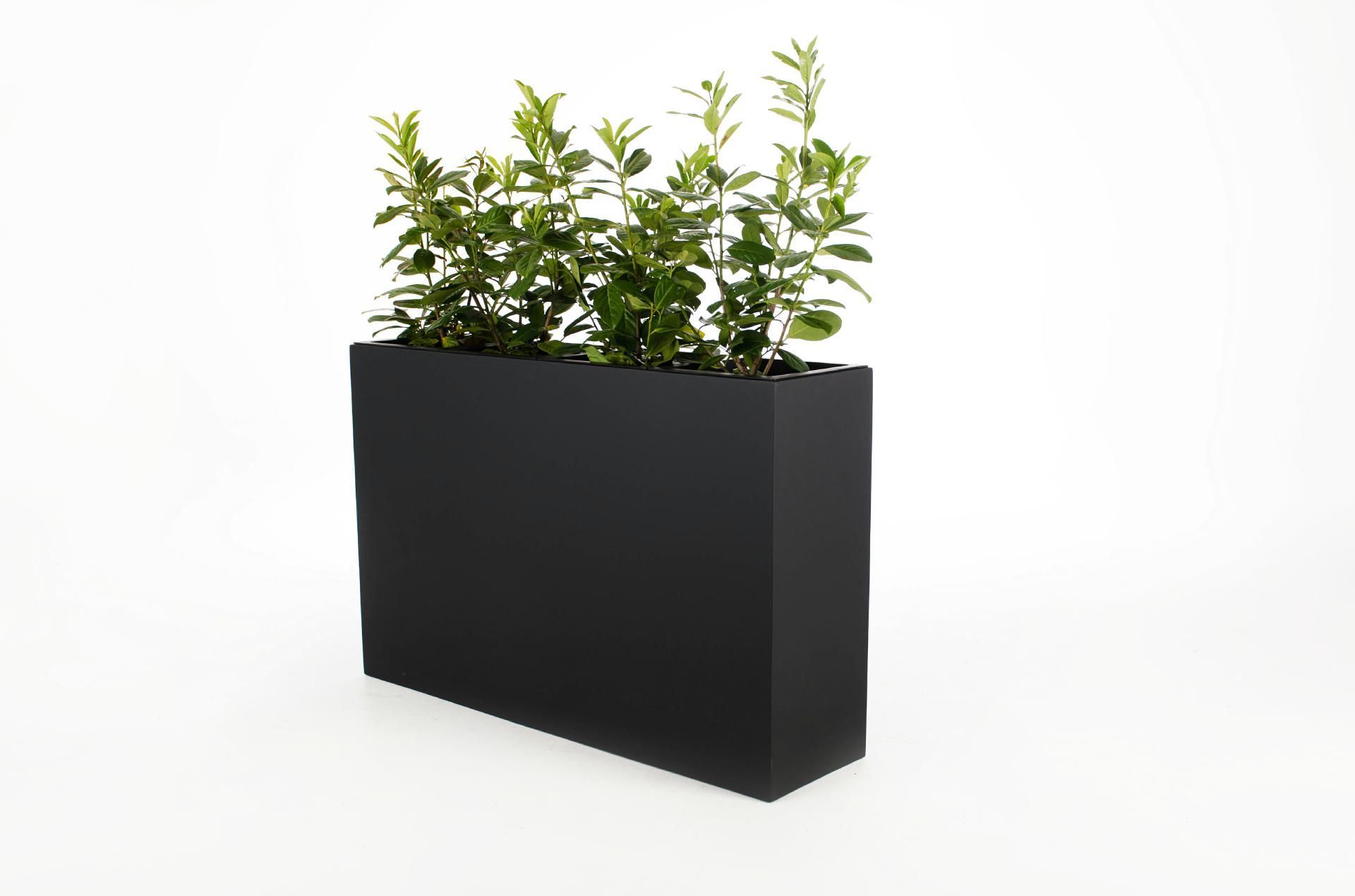 Pflanzkübel Raumteiler Fiberglas "Elemento", Anthrazit Blumenkübel