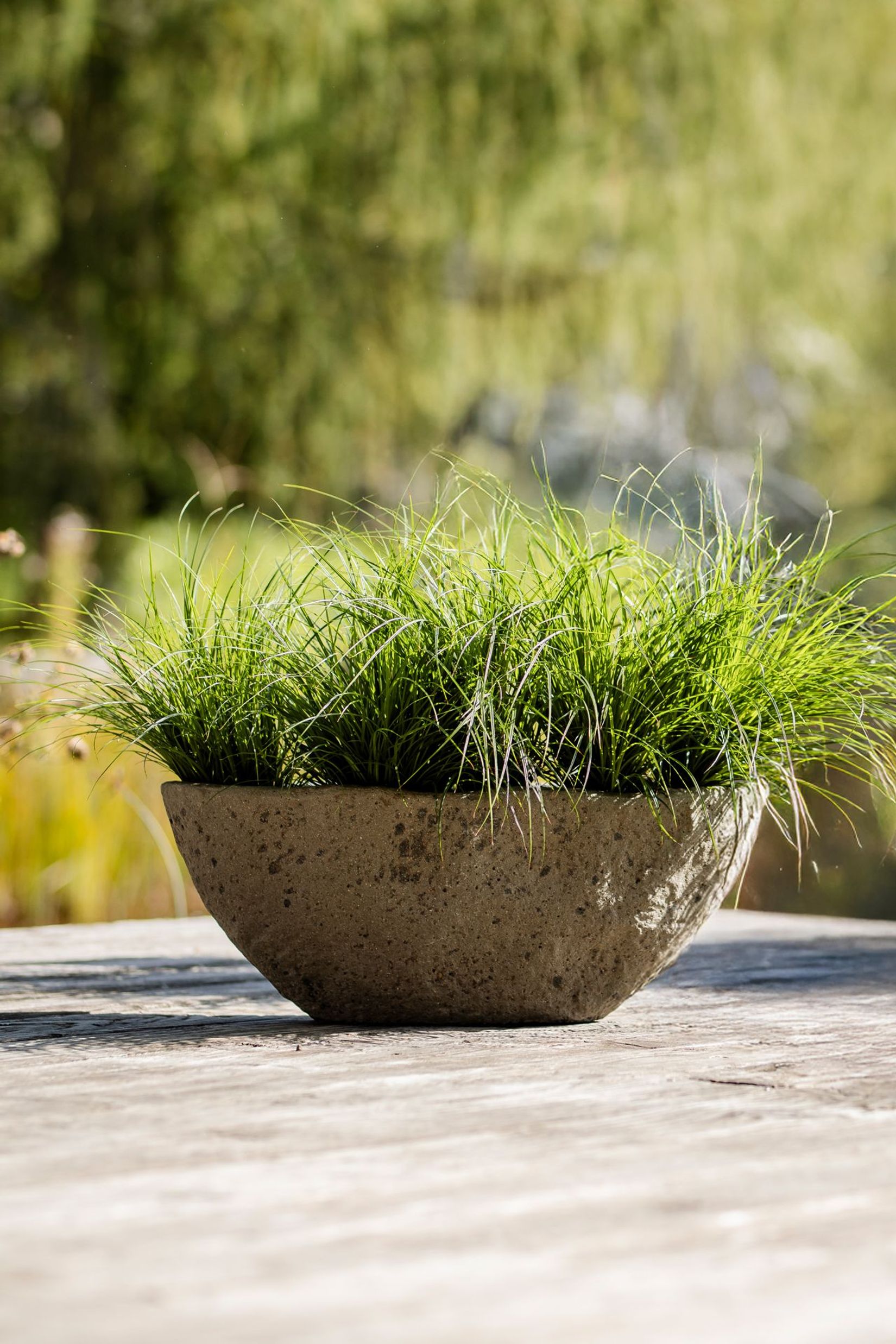 Pflanzschale Blumentopf Fiberzement BARCO Erdgrau