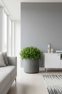 Blumentopf Pflanzkübel Fiberglas VEKRA Vesuvgrau