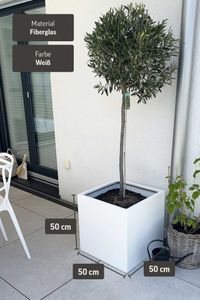 Pflanzkübel Blumenkübel Fiberglas "Block" Würfel, Weiß Matt
