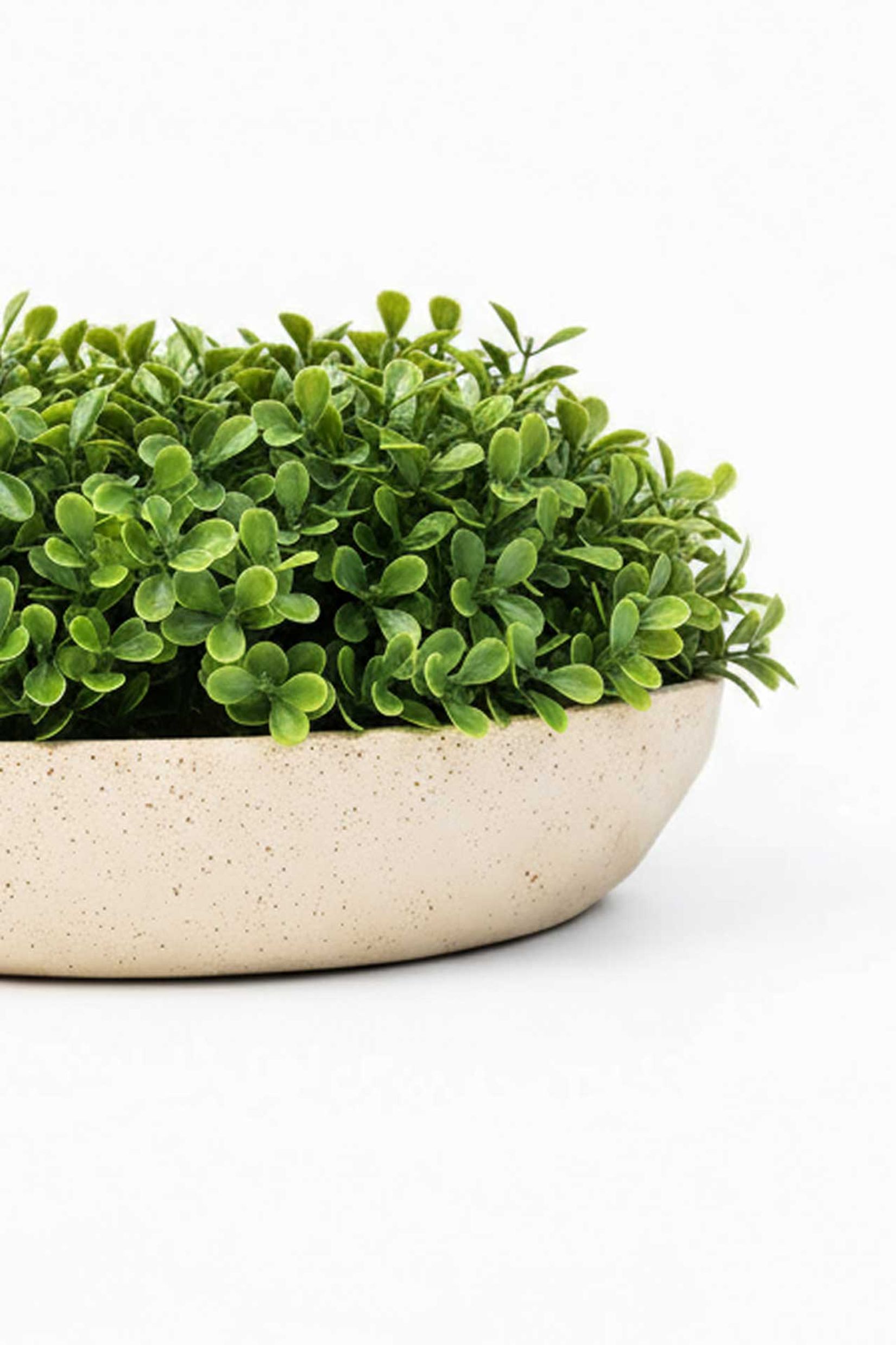 Pflanzschale Dekoschale Fiberglas CAVERO Arbanepoly Pflanzschale Dekoschale Fiberglas CAVERO Arbanepoly