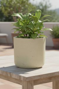 Blumentopf Pflanztopf Fiberglas CHICO Creme