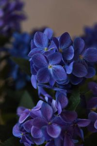 Kunstpflanze Hortensie im Topf Kunststoff HYDRANGA blau