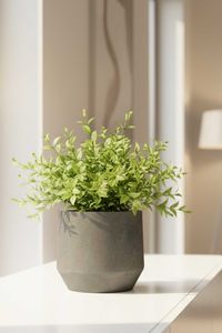 Pflanzkübel Blumenkübel Fiberglas NEXORA Vesuvgrau