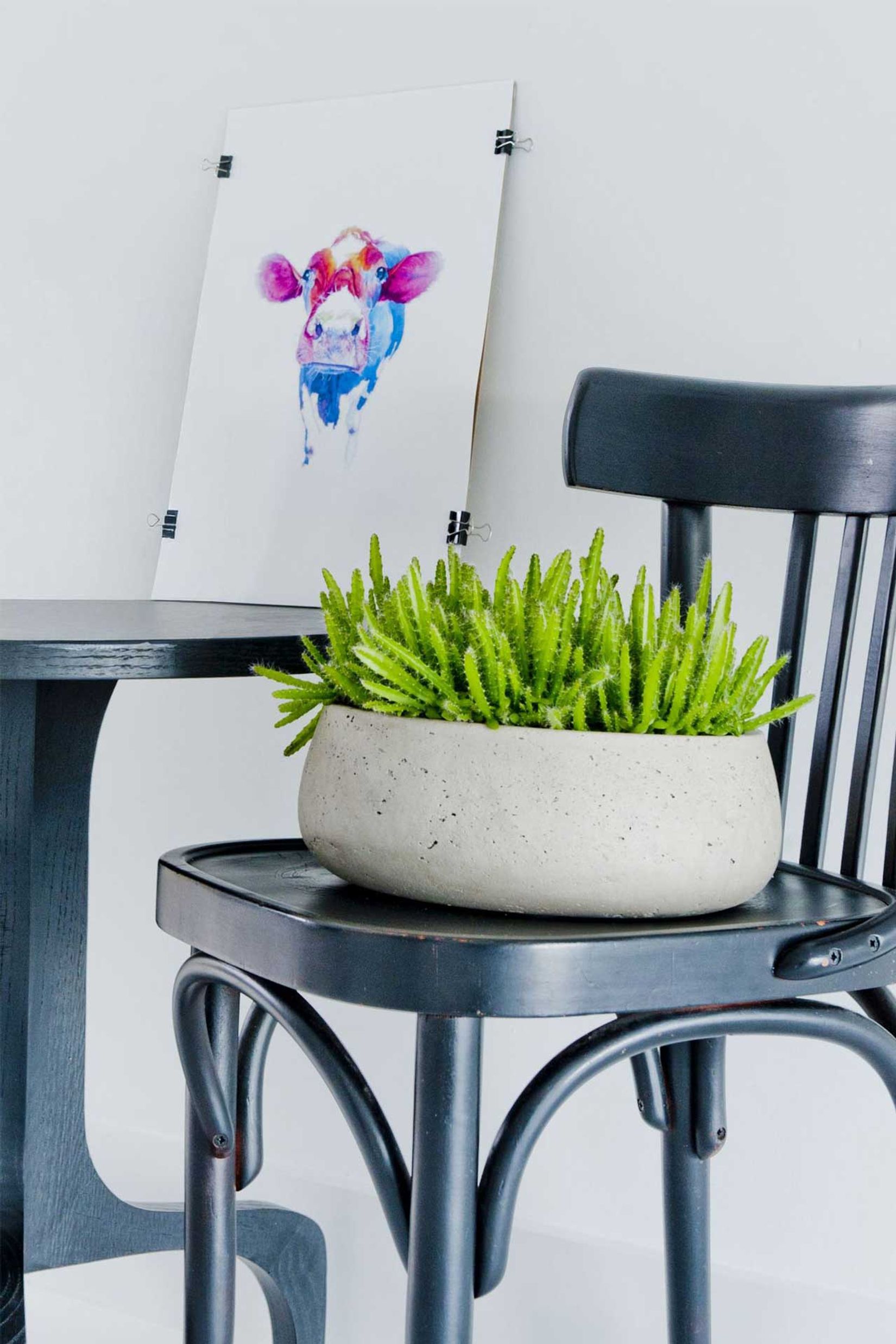 Pflanzschale Dekoschale PERA rund Fiberglas Creme Pflanzschale Dekoschale PERA rund Fiberglas Creme