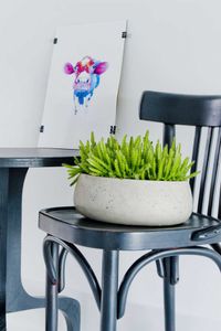 Pflanzschale Dekoschale PERA rund Fiberglas Creme Pflanzschale Dekoschale PERA rund Fiberglas Creme