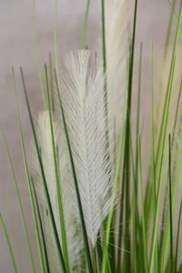 Kunstgras Kunstpflanze Pampasgras künstlich im weißen Topf PAMPAS