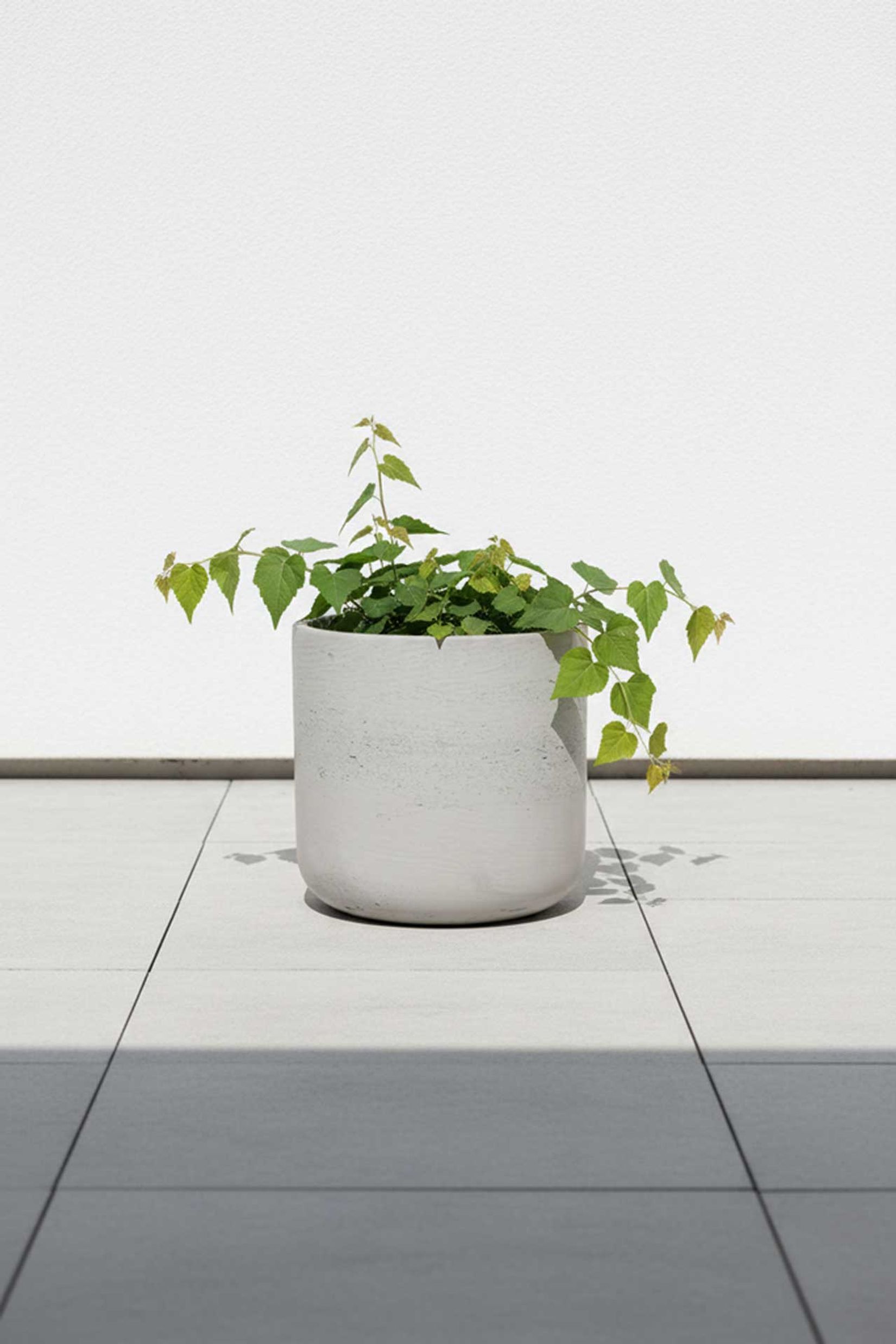 Blumentopf Pflanztopf Fiberglas CHICO Creme