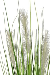 Kunstgras Kunstpflanze Pampasgras künstlich im weißen Topf PAMPAS