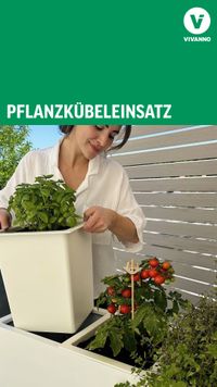 Pflanzkübeleinsatz weiß Kräuter Thumbnail Youtube
