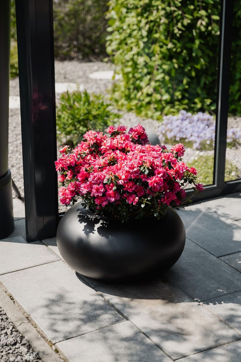 Pflanzkübel Blumentopf rund Fiberglas VIGLIA Schwarz Matt | 101011035427