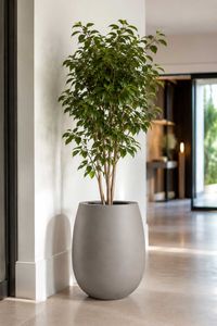 Blumentopf BALAO Fiberglas 40x50 cm Grau Blumentopf BALAO Fiberglas 40x50 cm Grau
