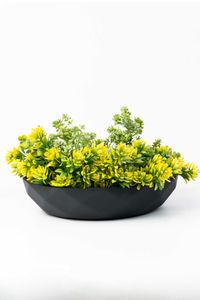 Pflanzschale Dekoschale Fiberglas CAVERO Anthrazit