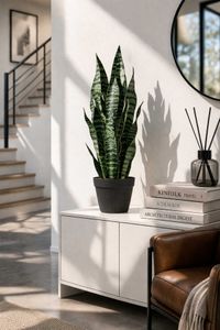 Kunstpflanze Bogenhanf Sanseviera künstlich SANSI